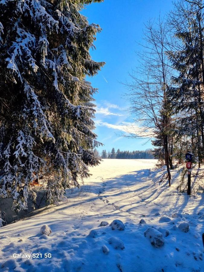 Ferienhaeuser Olbernhau Erzgebirge Exteriör bild