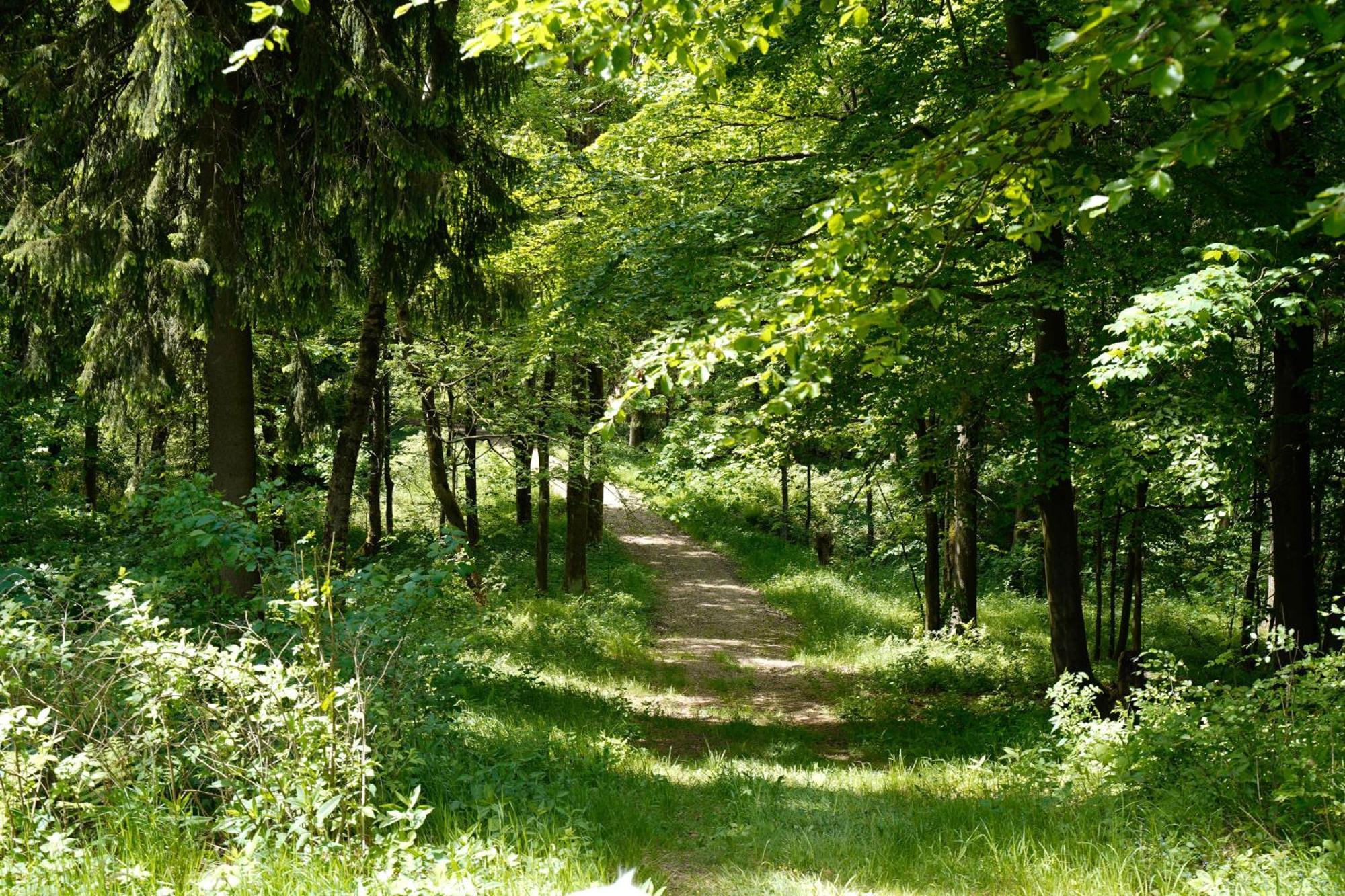 Ferienhaeuser Olbernhau Erzgebirge Exteriör bild